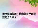 地米菜的作用（地米菜有什么功效簡(jiǎn)介介紹）