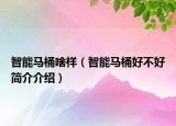 智能馬桶啥樣（智能馬桶好不好簡(jiǎn)介介紹）