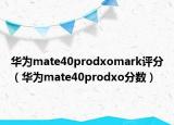 華為mate40prodxomark評(píng)分（華為mate40prodxo分?jǐn)?shù)）