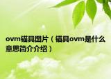ovm錨具圖片（錨具ovm是什么意思簡介介紹）