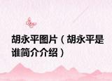 胡永平圖片（胡永平是誰簡介介紹）
