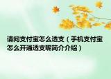 請(qǐng)問(wèn)支付寶怎么透支（手機(jī)支付寶怎么開(kāi)通透支呢簡(jiǎn)介介紹）