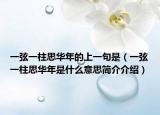 一弦一柱思華年的上一句是（一弦一柱思華年是什么意思簡(jiǎn)介介紹）