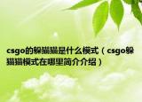 csgo的躲貓貓是什么模式（csgo躲貓貓模式在哪里簡介介紹）