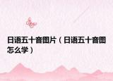 日語(yǔ)五十音圖片（日語(yǔ)五十音圖怎么學(xué)）