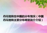 丹霞地貌在中國的分布情況（中國丹霞地貌主要分布哪里簡介介紹）