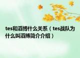 tes和滔博什么關(guān)系（tes戰(zhàn)隊為什么叫滔搏簡介介紹）