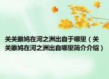 關(guān)關(guān)雎鳩在河之洲出自于哪里（關(guān)關(guān)雎鳩在河之洲出自哪里簡介介紹）