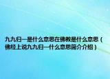 九九歸一是什么意思在佛教是什么意思（佛經(jīng)上說九九歸一什么意思簡介介紹）