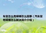 車?yán)镌趺从畜朐趺椿厥拢ㄆ嚴(yán)镉畜朐趺唇鉀Q簡介介紹）