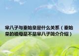 羋八子與秦始皇是什么關(guān)系（秦始皇的祖母是不是羋八子簡介介紹）