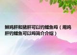 鮮雞肝和豬肝可以釣鯉魚(yú)嗎（用雞肝釣鯉魚(yú)可以嗎簡(jiǎn)介介紹）