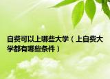 自費(fèi)可以上哪些大學(xué)（上自費(fèi)大學(xué)都有哪些條件）