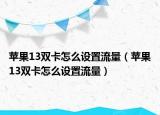 蘋果13雙卡怎么設(shè)置流量（蘋果13雙卡怎么設(shè)置流量）