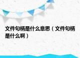 文件句柄是什么意思（文件句柄是什么啊）