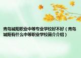 青島城陽職業(yè)中等專業(yè)學(xué)校好不好（青島城陽有什么中等職業(yè)學(xué)校簡介介紹）