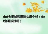 dnf金毛球和黑炭頭哪個(gè)好（dnf金毛球好嗎）
