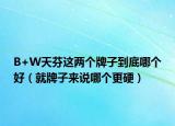 B+W天芬這兩個牌子到底哪個好（就牌子來說哪個更硬）
