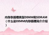內(nèi)存條插槽類型DIMM和SDRAM（什么是DIMM內(nèi)存插槽簡(jiǎn)介介紹）