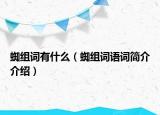 蜘組詞有什么（蜘組詞語(yǔ)詞簡(jiǎn)介介紹）