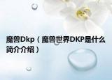 魔獸Dkp（魔獸世界DKP是什么簡介介紹）