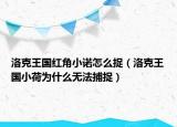 洛克王國紅角小諾怎么捉（洛克王國小荷為什么無法捕捉）