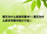 曹丕為什么要害死曹沖?（曹丕為什么要殺死曹沖簡介介紹）