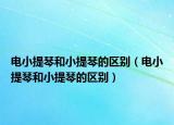 電小提琴和小提琴的區(qū)別（電小提琴和小提琴的區(qū)別）