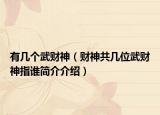 有幾個武財神（財神共幾位武財神指誰簡介介紹）