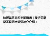 枝折花落是四字詞語嗎（枝折花落是不是四字詞語簡介介紹）