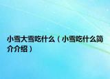 小雪大雪吃什么（小雪吃什么簡介介紹）