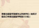 想要出國留學(xué)需要怎么申請學(xué)校（如何才能自己申請出國留學(xué)呢簡介介紹）