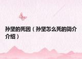 孫堅(jiān)的死因（孫堅(jiān)怎么死的簡(jiǎn)介介紹）