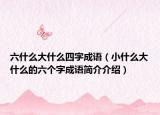 六什么大什么四字成語（小什么大什么的六個(gè)字成語簡(jiǎn)介介紹）