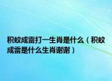 積蚊成雷打一生肖是什么（積蚊成雷是什么生肖謝謝）