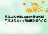 蘋果13和蘋果13pro有什么區(qū)別（蘋果13和13pro有啥區(qū)別簡(jiǎn)介介紹）