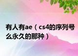 有人有ae（cs4的序列號么永久的那種）