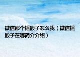 微信那個搖骰子怎么找（微信搖骰子在哪簡介介紹）