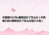 中國(guó)銀行公司u盾密碼忘了怎么辦（中信銀行的U盾密碼忘了怎么辦簡(jiǎn)介介紹）