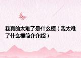我真的太難了是什么梗（我太難了什么梗簡介介紹）