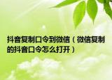 抖音復制口令到微信（微信復制的抖音口令怎么打開）
