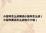 小提琴怎么讀英語(yǔ)小提琴怎么讀（小提琴英語(yǔ)怎么讀簡(jiǎn)介介紹）