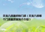 天龍八部最好的門派（天龍八部哪個(gè)門派最厲害簡(jiǎn)介介紹）
