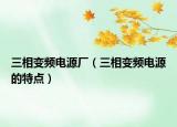 三相變頻電源廠（三相變頻電源的特點(diǎn)）