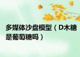 多媒體沙盤模型（D木糖是葡萄糖嗎）