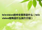 television的中文意思是什么（television縮寫是什么簡介介紹）