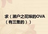 求（瀨戶之花嫁的OVA（有三集的））