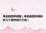 來去的四字詞組（來去的四字詞語多幾個更好簡介介紹）