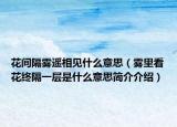 花間隔霧遙相見什么意思（霧里看花終隔一層是什么意思簡介介紹）