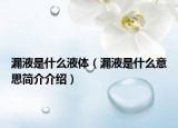 漏液是什么液體（漏液是什么意思簡介介紹）